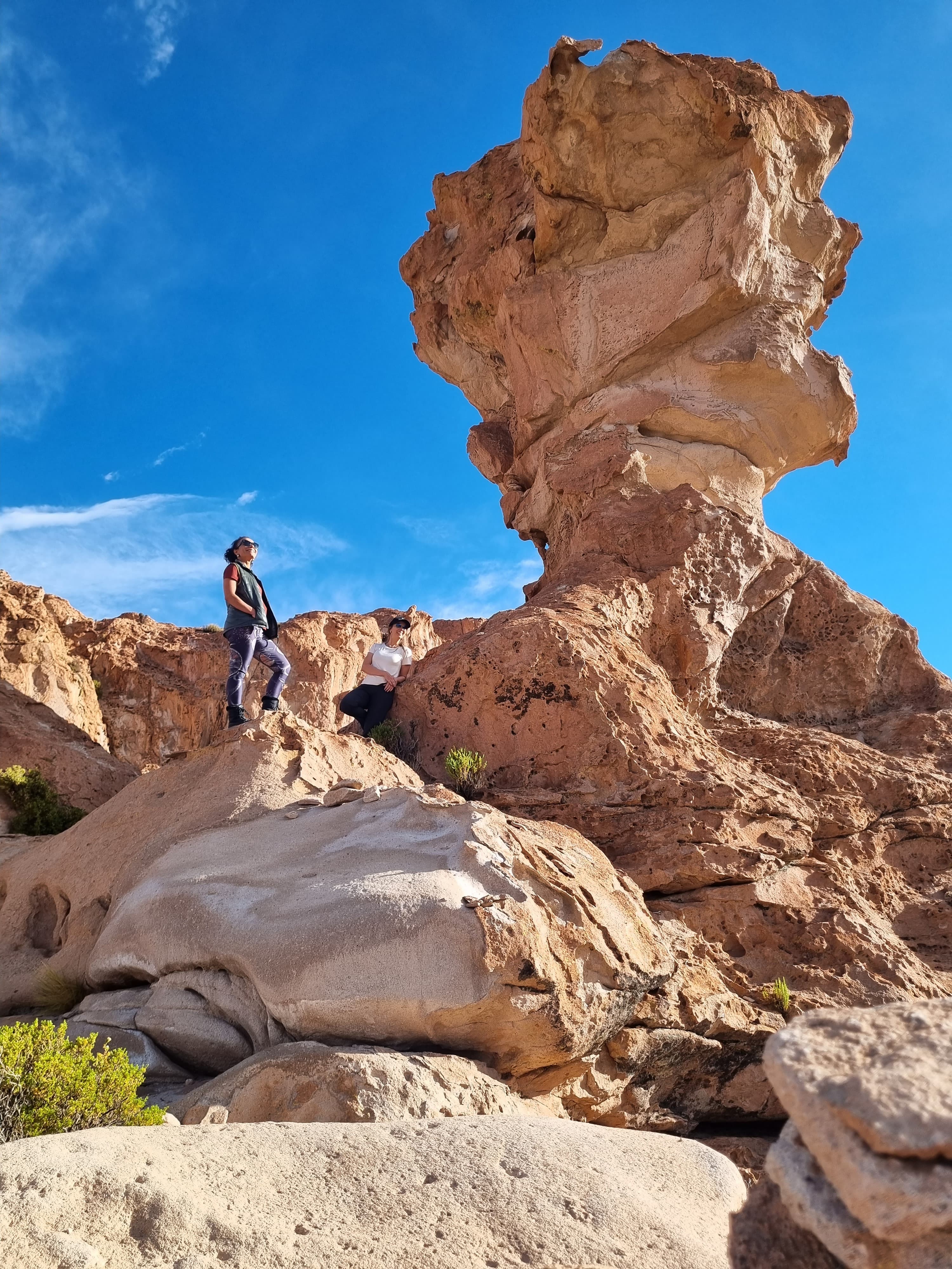 Árbol de Piedra - Reserva Eduardo Avaroa